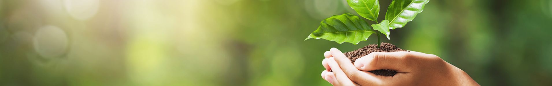 Testata grafica per la sezione ecoservizi, con design professionale e moderno